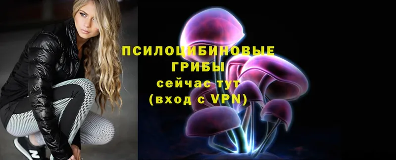 купить закладку  Богучар  OMG tor  Галлюциногенные грибы Psilocybe 